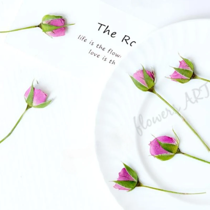 Pressed Rose Bud Flower Petals - Photo Frame Baby ulasan dan harga