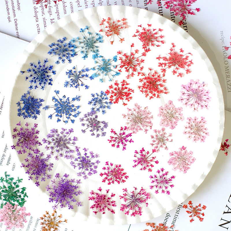 24pcs, 2-2.5cm, Nature Dyed Mi - Photo Frame Baby ulasan dan harga
